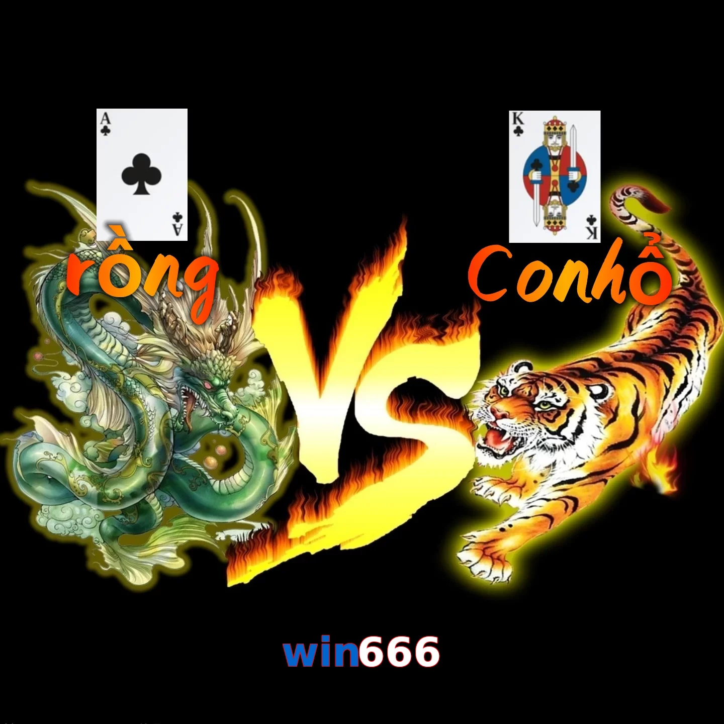 win666